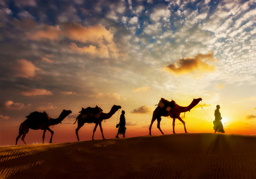 camel caravan in the desert
