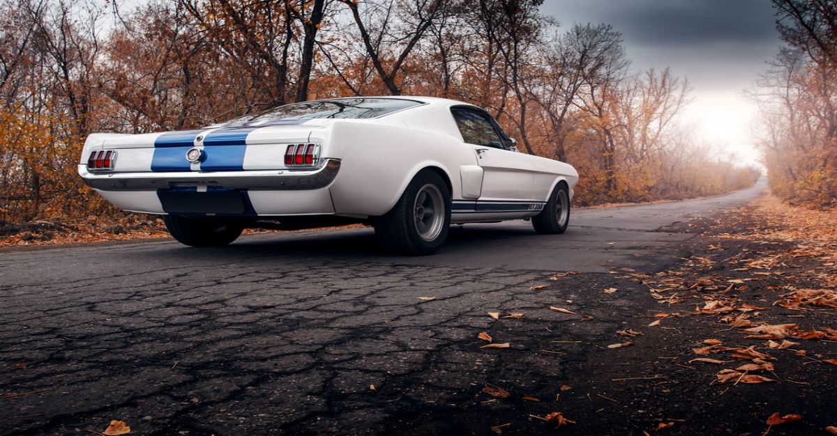 mustang